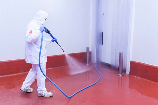 Best Playground Equipment Cleaning  in Dentsville, SC